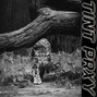 Tint prxy - Pole