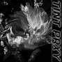 Tint prxy - Hi C