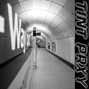 Tint prxy - Bay