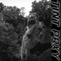 Tint prxy - Jet