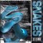 SIX BEATS - SNAKES