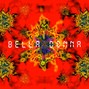 Sk8z - Bella Donna