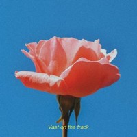 Vast on da track