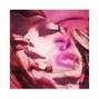 D I N M A  - Your Worth It ft Lana Del Rey