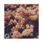 Loonee - Astral Plane