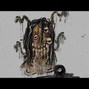 DAZ - "ROCKY" YOUNG NUDY + PI'ERRE BOURNE TYPE BEAT