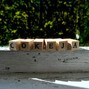 Sofasaur - Cokeja