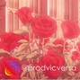 Vic Versa - Bothered