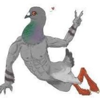 Creepy Pigeon