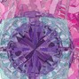 PRODNK - Rosas