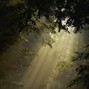 Dreamboy  - nature