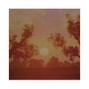 lungfulls - sun tea
