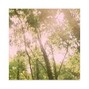 lungfulls - aduro