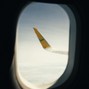 LUPO - WINDOW SEAT [B MAJOR]