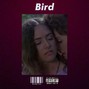 Chelios - Bird | Frank Ocean Type Beat