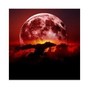 Mack Music - Full Moon - Mack Music
