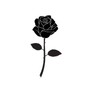 Hussain Ali - Roses