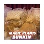 Magic Plants - ???K??