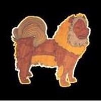 magu the dog