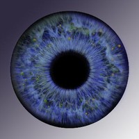 Bleu Eyed Lemon