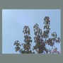 moneo - like rainbows