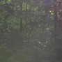 moneo - early summer
