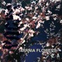 YNGXS - Narnia Flowers