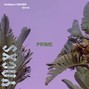 YNGXS - PRIME