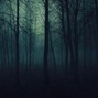 Dead$txrr [Buy 1 Get 1 Free] - Dark Forest (prod. Dead$txrr) bpm 110 key Cm