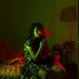 FMG - Home