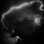 L!NGU!N! - Insight