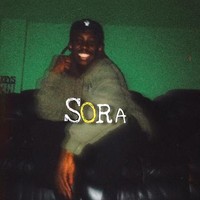 Free Sora