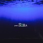Free Sora - Nino Kuni