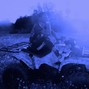 516Kid - MYCELIUM