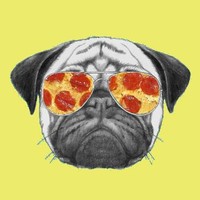 Pizza Dog