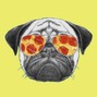 Pizza Dog - Altoid