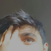 hayvain