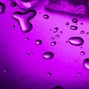 Shay.P. - Purple Rain
