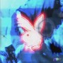 MoneyHilfiger - Summr2k19