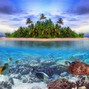JAWLRMUSIC - Island Love (98bpm)