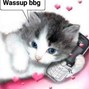 dialupsuicide - eemptykkup