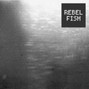 Rebel Fish - Beach Light