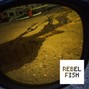 Rebel Fish - Iron Plane