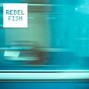Rebel Fish - Scratch Tape