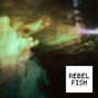 Rebel Fish - Bar Smoke