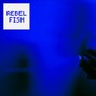Rebel Fish - Locked Rain