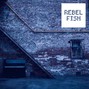 Rebel Fish - Upright Street
