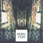 Rebel Fish - Eddie Walker