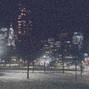 micco - winter night