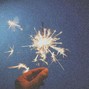 micco - new year's eve